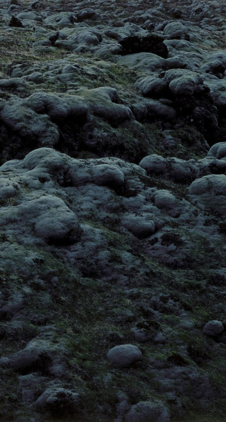 ワンストップサポート